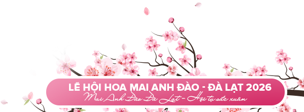 Cherry Blossom Texture